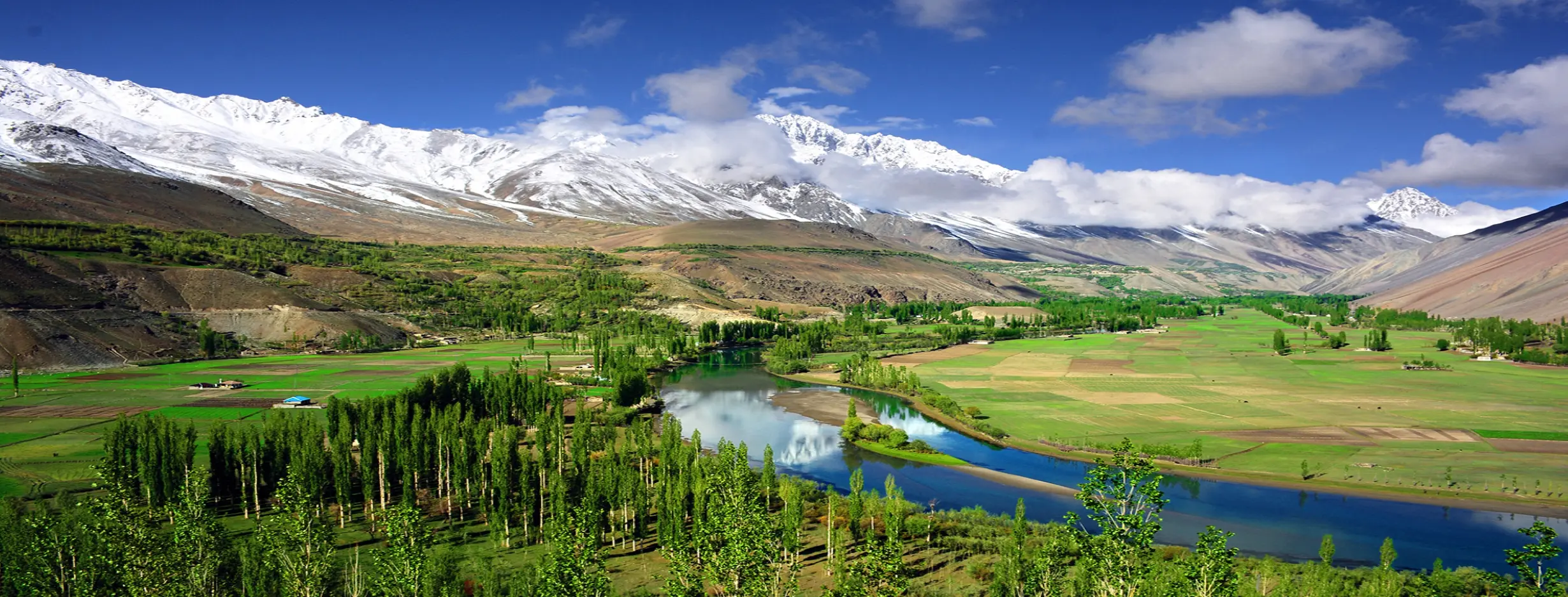 Image for Scenic Beauty